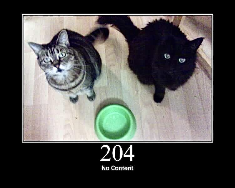 204 No Content Cats